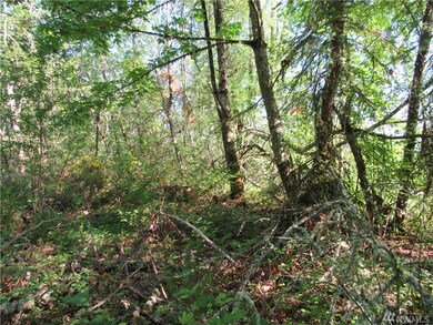 0 238th Ave E, Orting, WA 98360 - photo 4