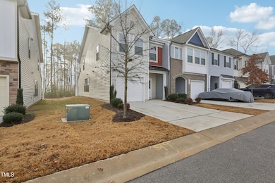 E Willow Trace Way-002