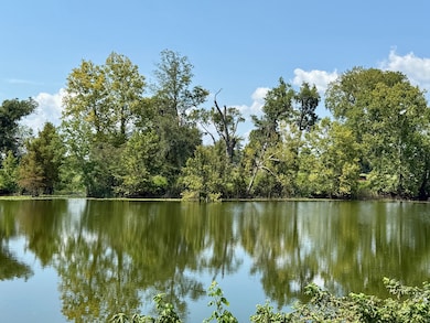 0 Rose Hill Plantation Rd, Natchez, LA 71456 - photo 3