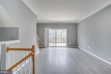 8316 Green Grass Rd, Laurel, MD 20724 - photo 4