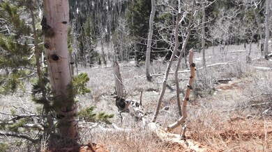 539 W Ski View Dr unit Lot 13, blk b, Unt C, Brian Head, UT 84719 - photo 2