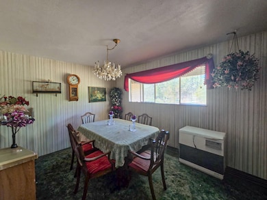 5280 Rockydale Rd, Cave Junction, OR 97523 - photo 7