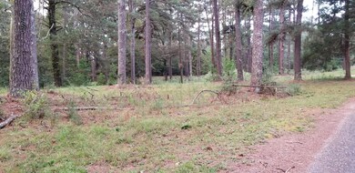 125 Springhill Rd, Laurel, MS 39443 - photo 4