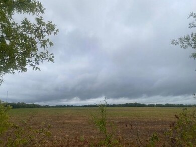 1231 County Road 4130, Bonham, TX 75418 - photo 6