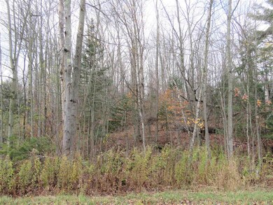 0 E Hill Rd unit 4889279, Troy, VT 05859 - photo 5