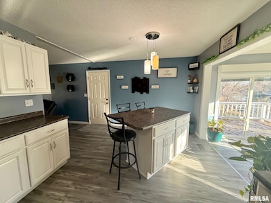 230 N Shore Dr, Petersburg, IL 62675 - photo 7