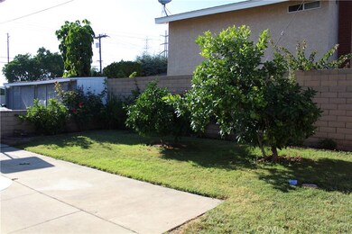 Back Yard with Fruit Trees
