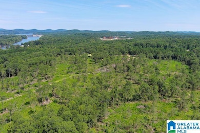 209 Harts Ferry Rd unit 2, Ohatchee, AL 36271 - photo 6