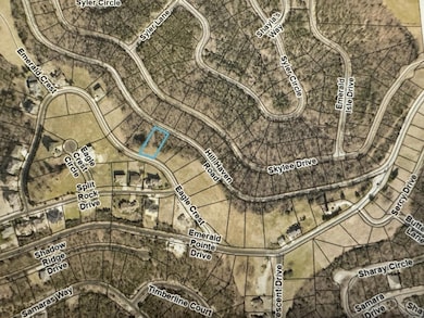 170 Eagle Crest Dr -Emerald Pointe, Hollister, MO 65672 - photo 2