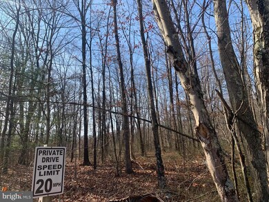 Lot 18 Sleepywoods Rd, Cross Junction, VA 22625 - photo 4