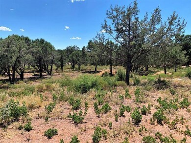 1102 N Earhart Pkwy, Payson, AZ 85541 - photo 2