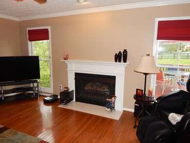 Gas fireplace in family room