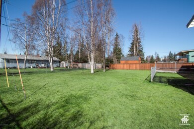05. Backyard