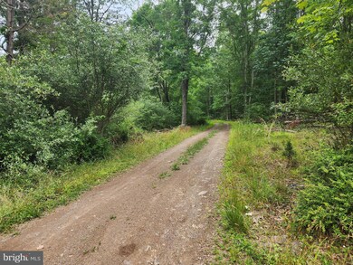 0 Golliday Ln unit WVMO2003238, Great Cacapon, WV 25422 - photo 6