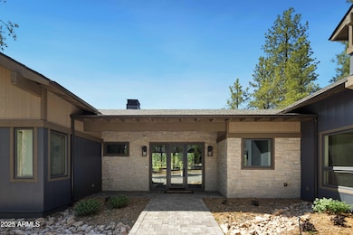 Pinyon Jay-7