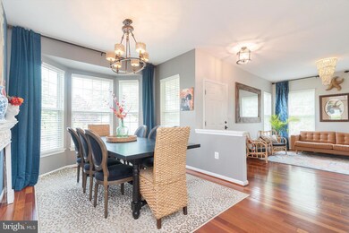 43483 Mink Meadows St, Chantilly, VA 20152 - photo 6