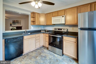 7516 Summer Blossom Ln, Columbia, MD 21046 - photo 5