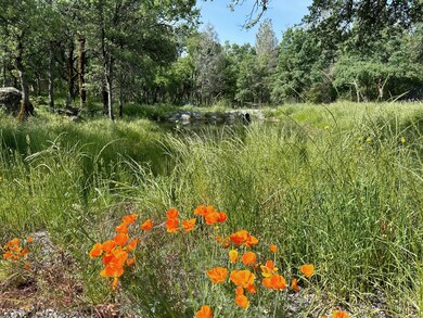 21292 Jennifer Dr, Redding, CA 96003 - photo 7