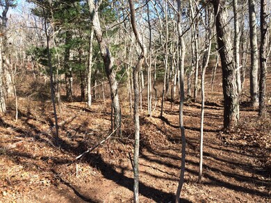 1 Kennebago Ave, Tisbury, MA 02568 - photo 4