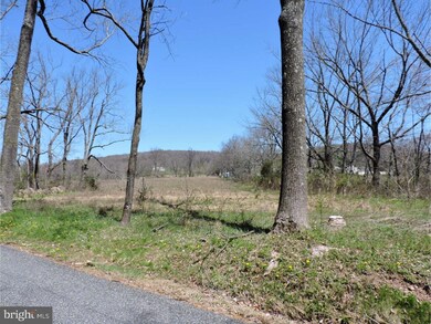 0 Schlegel Rd unit 1003893309, Bechtelsville, PA 19505 - photo 5