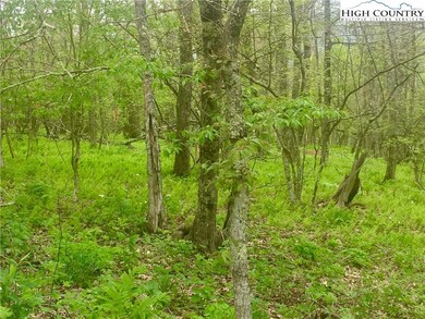 Lot View #2 - Lots C-29 & C-30 make the PERFECT Co
