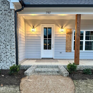 Boxwood