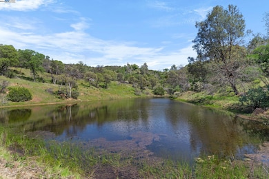 Main pond near the house where wildlife come to drink