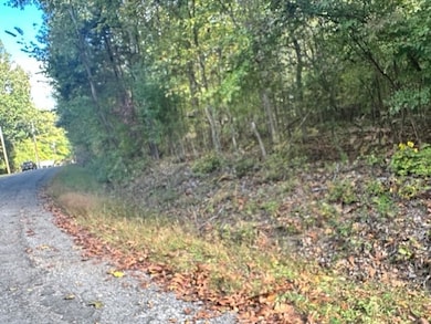 0 Bayview Dr Lot 160&161 unit RTC2782305, Bumpus Mills, TN 37028 - photo 4