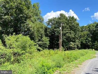 20 Hickory Loop Dr, Old Fields, WV 26845 - photo 4