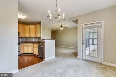 22611 Blue Elder Terrace unit 302, Ashburn, VA 20148 - photo 7