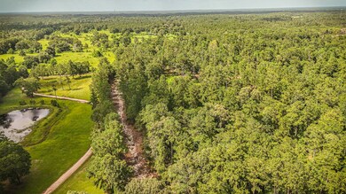 tbd County Road 1520, Warren, TX 77664 - photo 4