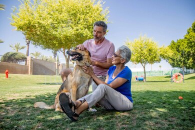 4700 E Main St unit 934, Mesa, AZ 85205 - photo 6
