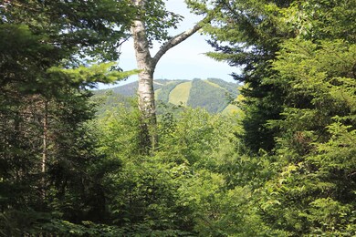 23 Stone Tower Ln, Waterville Valley, NH 03215 - photo 6