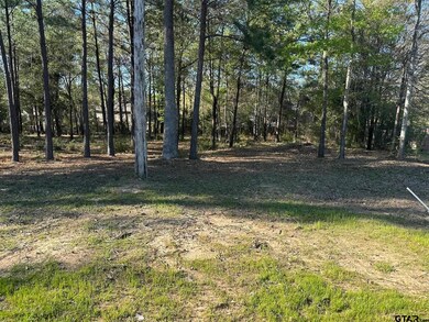 1408 Covewood Dr, Tyler, TX 75703 - photo 2