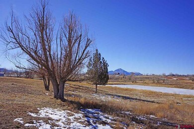 24934 Road N 4, Cortez, CO 81321 - photo 5