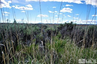 7143 Reese River Blvd, Elko, NV 89801 - photo 3