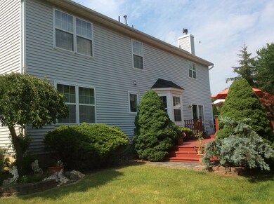 House Back View