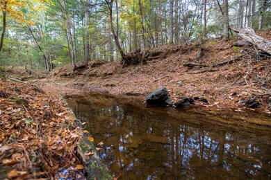00 Farm To Market Road 228, Grapeland, TX 75844 - photo 2