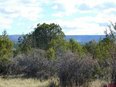 0 Uintah Rd unit 752141, Cedaredge, CO 81413 - photo 4