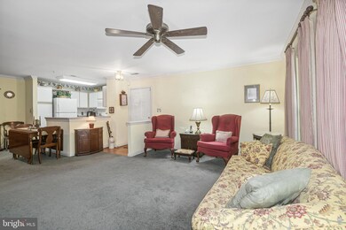 5017 Triplett Rd, Owings Mills, MD 21117 - photo 7