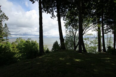 2281 Berry Ln, Point Roberts, WA 98281 - photo 6