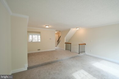 6203 William Mosby Dr, Centreville, VA 20121 - photo 7