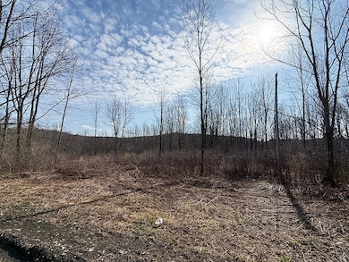 L 7 Thayer Rd & St Hwy 80, Hartwick, NY 13348 - photo 5