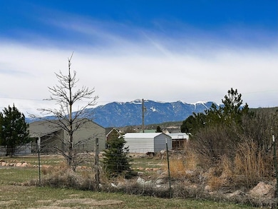 Greenhorn