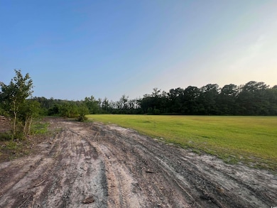 View of street with a wooded view and a view of rural / pastoral area