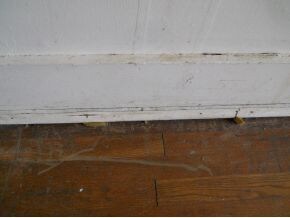 133 E Highland Rd, Johnson City, TN 37601 - photo 4