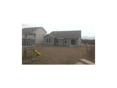 Level Back Yard