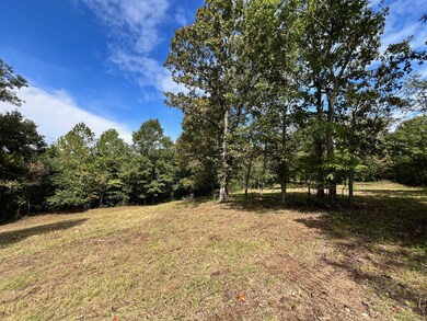000 Rainbow Valley Trail, Mammoth Spring, AR 72554 - photo 7