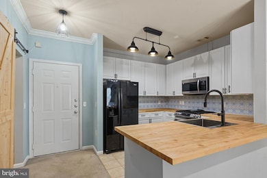 Marquis At Vienna Station unit 329, Vienna, VA 22181 - photo 2