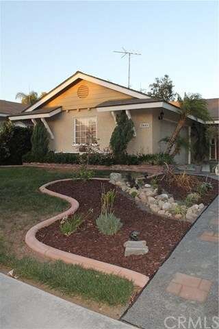 Drought Tolerant Landscape